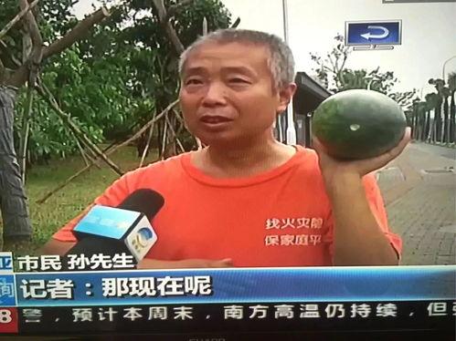 最近热门事件合集吃瓜